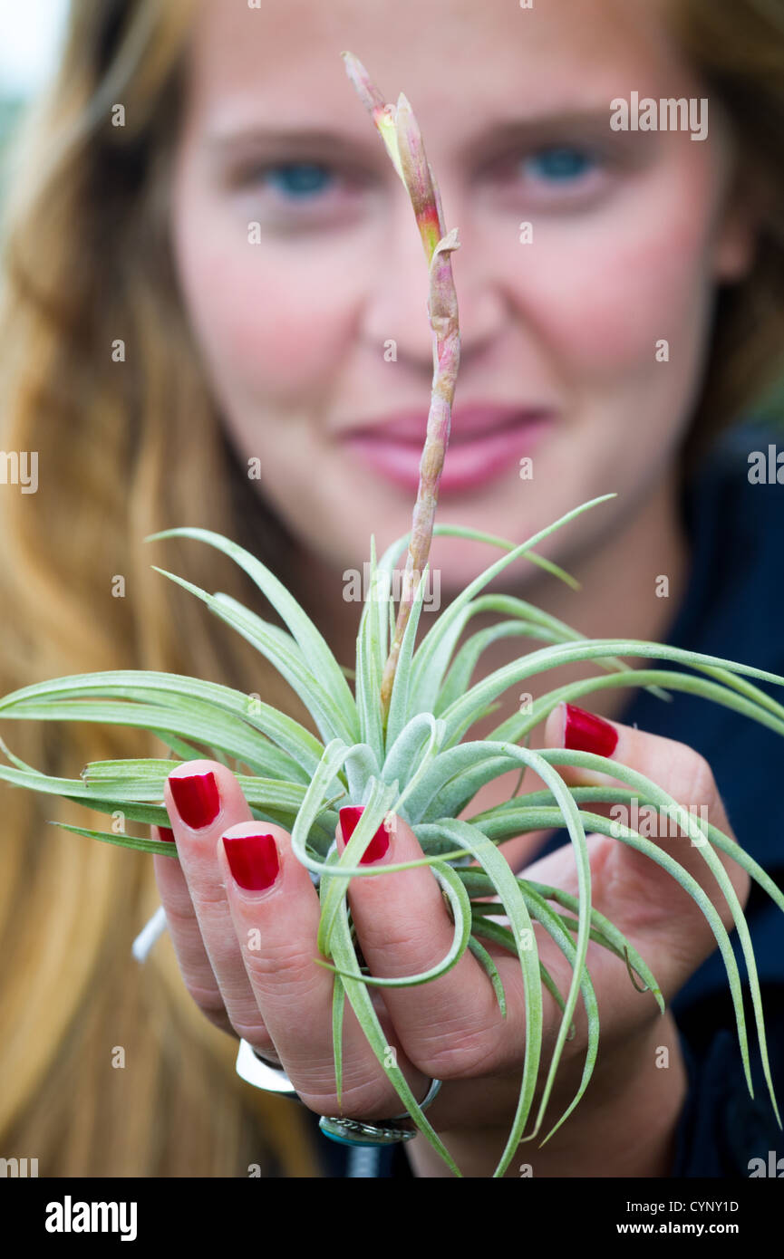 Woman holding air plant Stock Photo