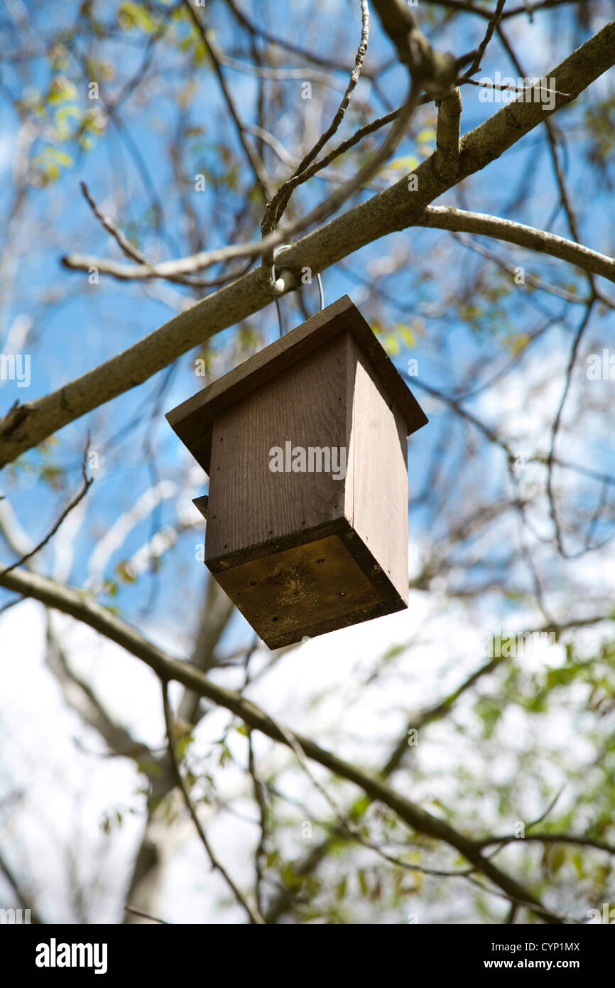 view of the back side of a little bird house pending at the forest Stock Photo