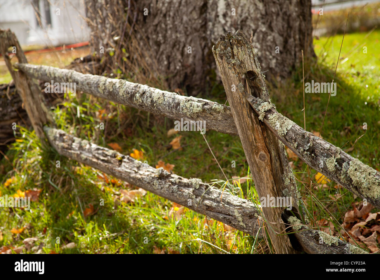 Log Fence, Fall color, Peacham, Vermont, USA Stock Photo