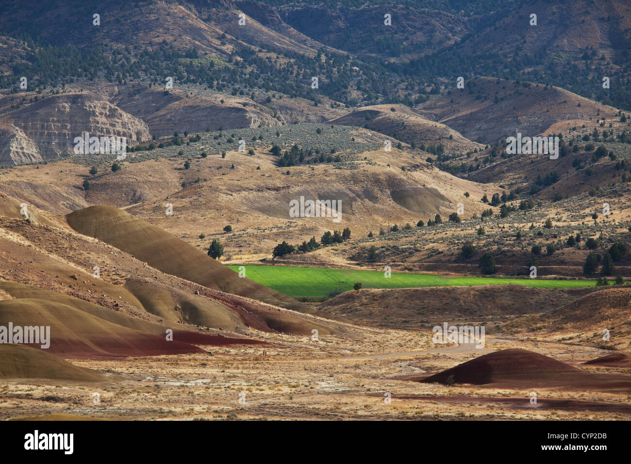 Prairie Foret Prairie landscapes Stock Photo - Alamy