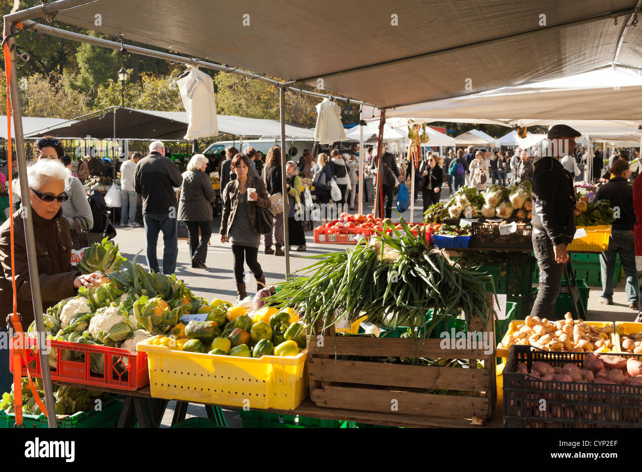 union square greenmarket new york ny
