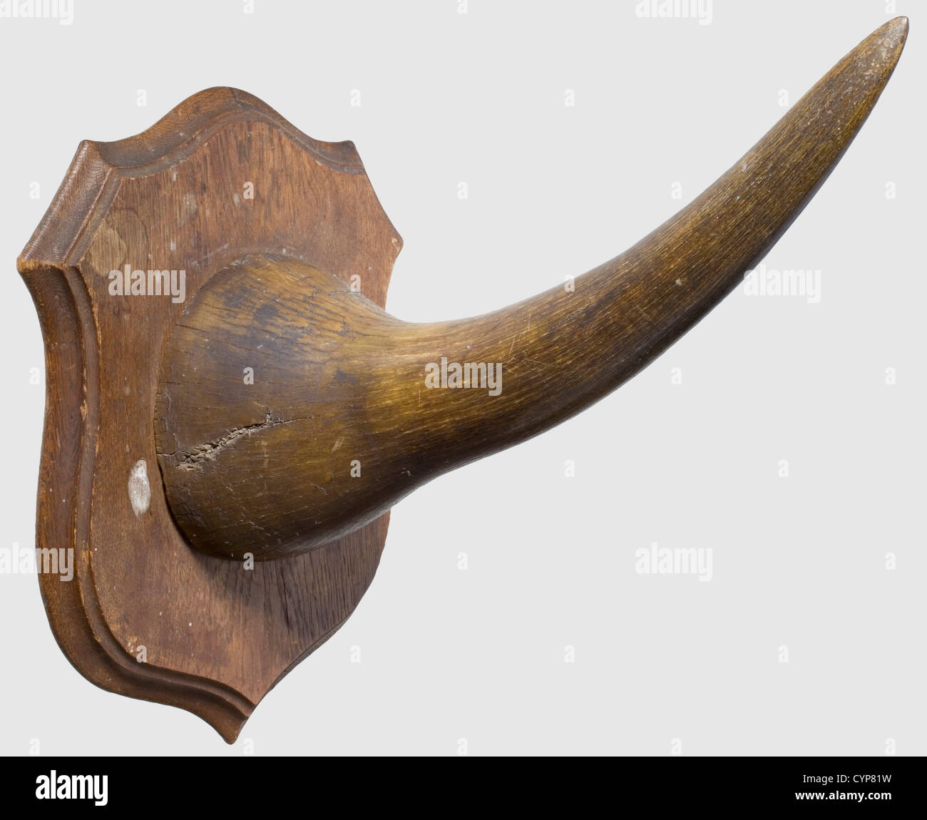 A rhinoceros horn, German East Africa, circa 1900. Sturdy, beautifully curved horn mounted on a shield-shaped oak wood base. Suspension ring on the reverse side. Length 41.5 cm. Weight without base 1640 g, with base 2350 g. CITES certification available, historic, historical, 1900s, 20th century, 19th century, hunt, hunts, hunting, utensil, piece of equipment, utensils, trophies, object, objects, stills, clipping, clippings, cut out, cut-out, cut-outs, Additional-Rights-Clearences-Not Available Stock Photo