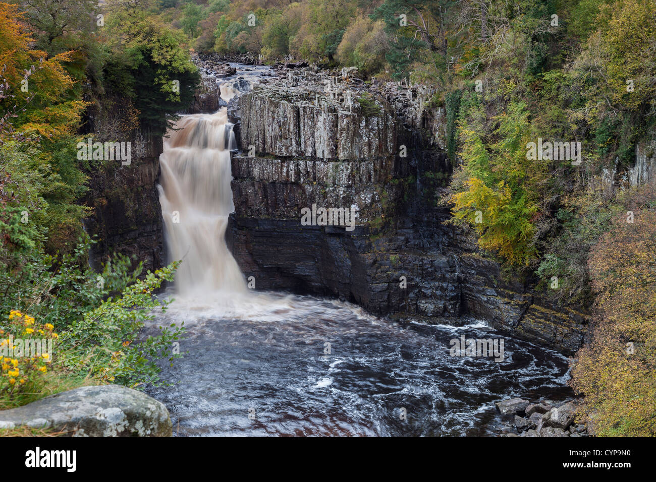High Force Waterfall Viewed From the Pennine Way, in Autumn Upper Teesdale County Durham UK Stock Photo