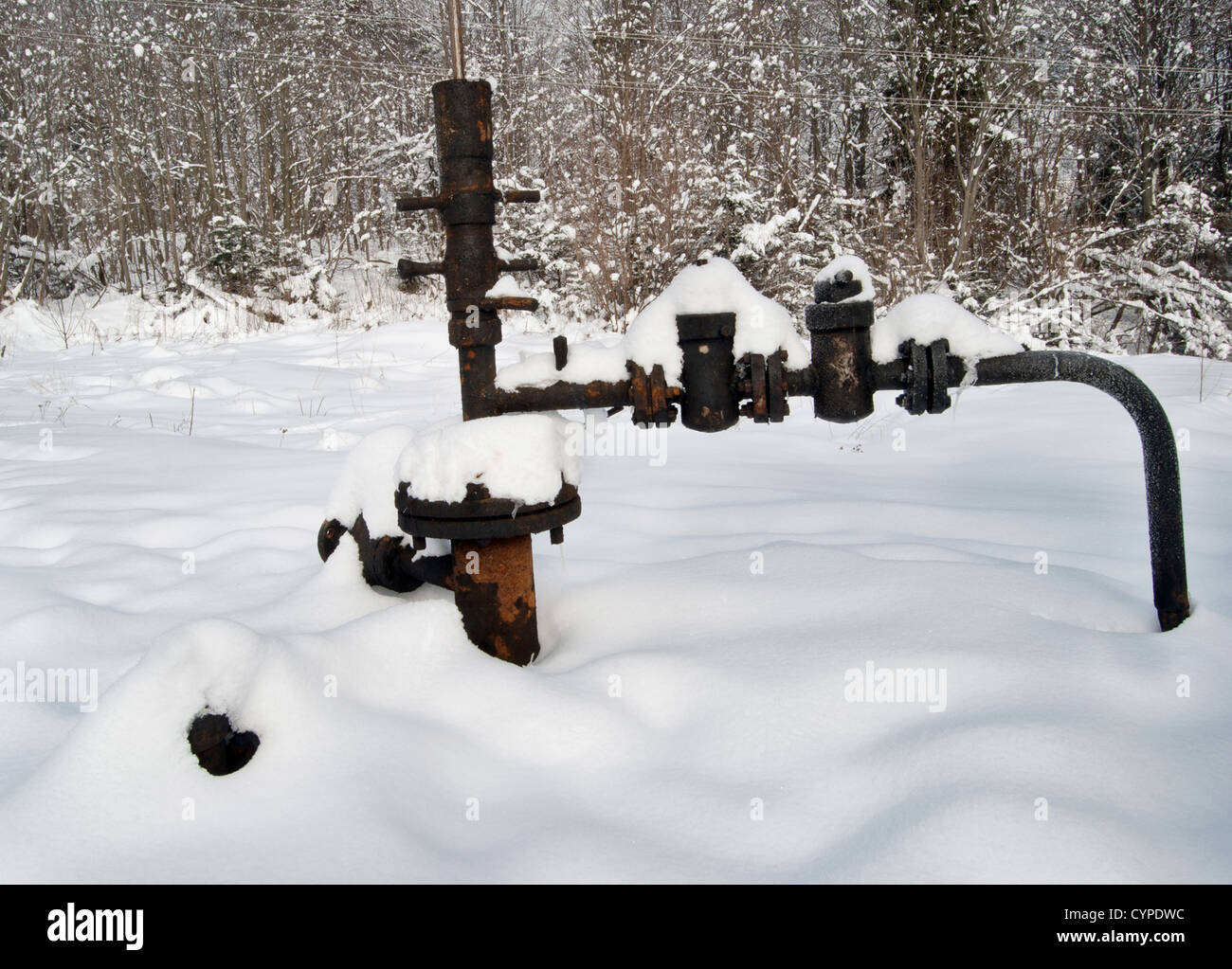 neglected oil wellhead in the forest Stock Photo