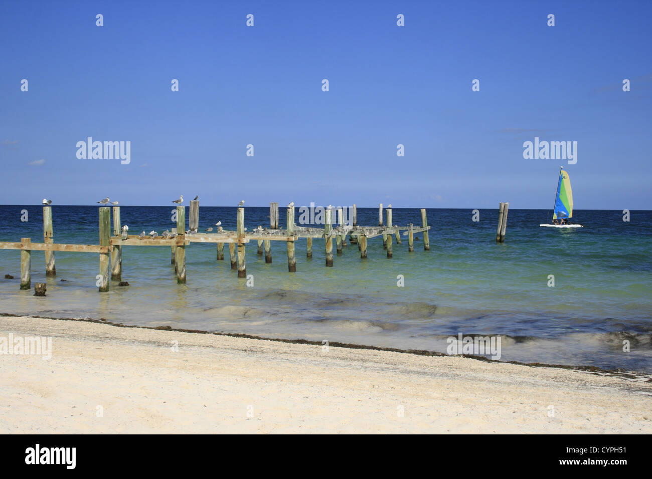 Beach near Puerto Morelos, Riviera maya, Mexico Stock Photo