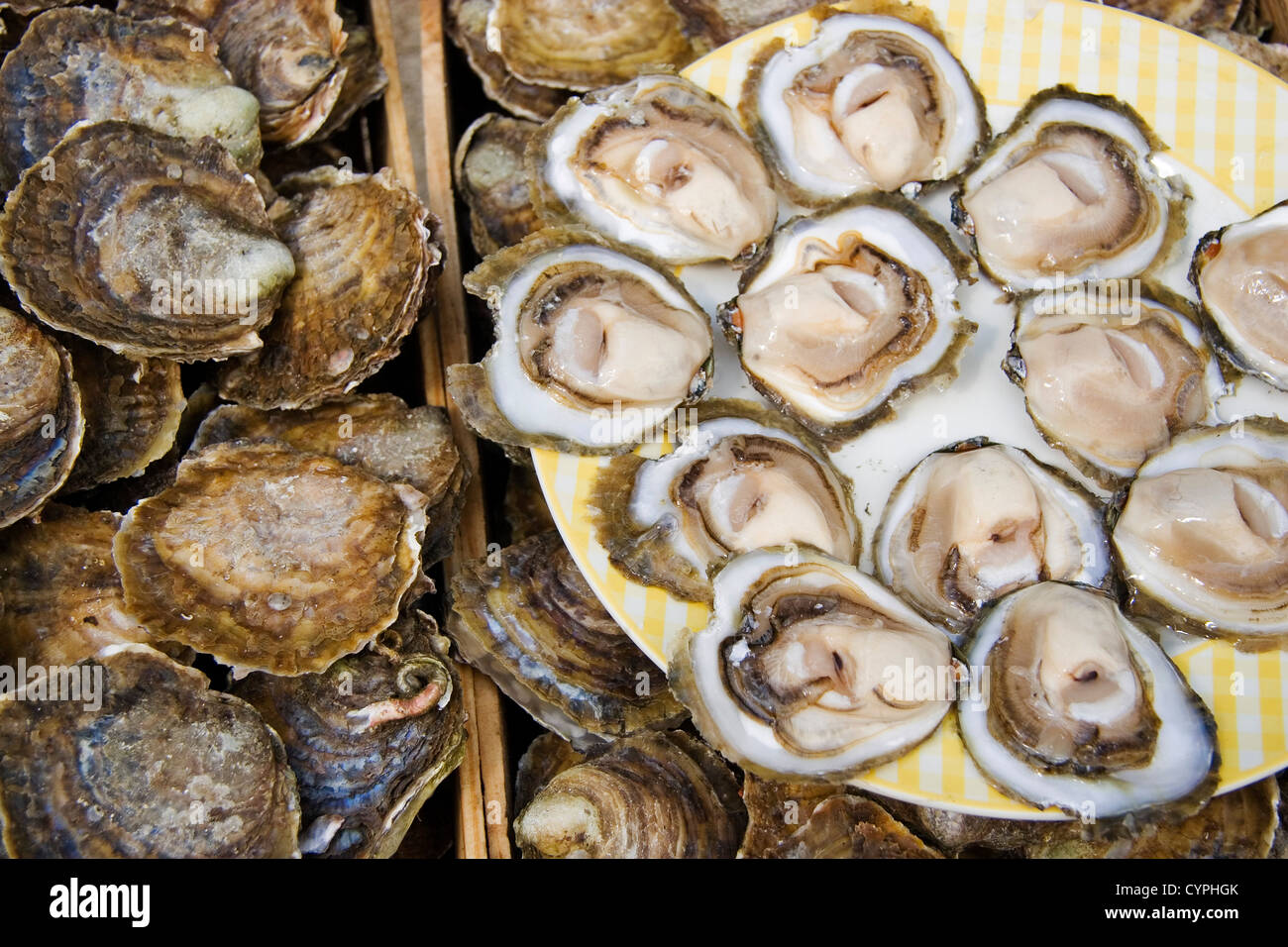 ostras oysters Stock Photo