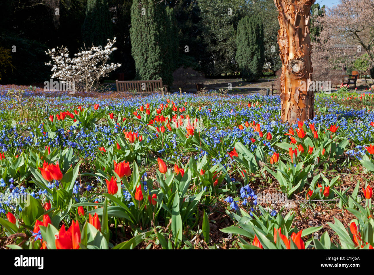 Springtime Stock Photo