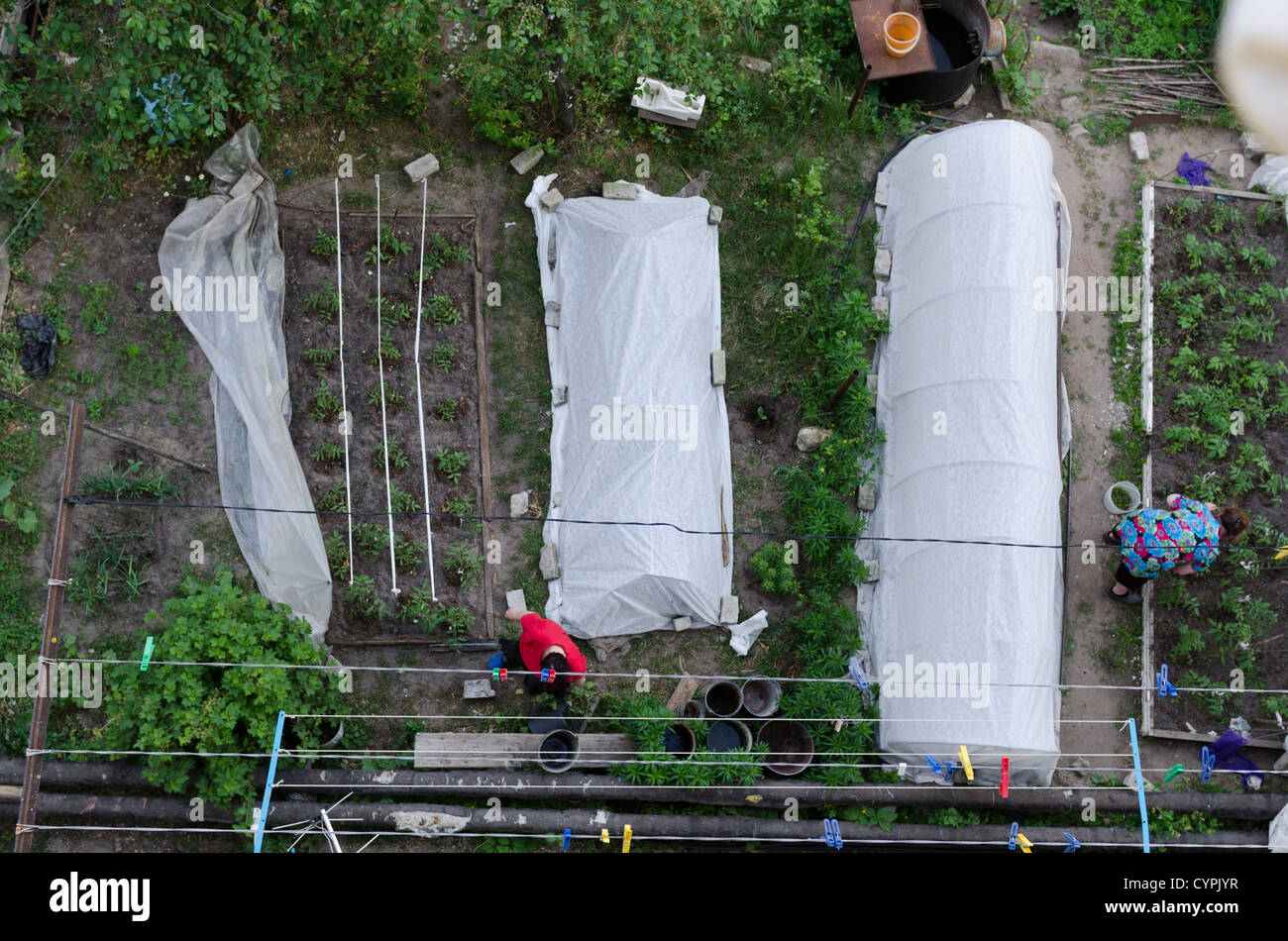 [up view] Kasimov greenhouse land people down farm Stock Photo
