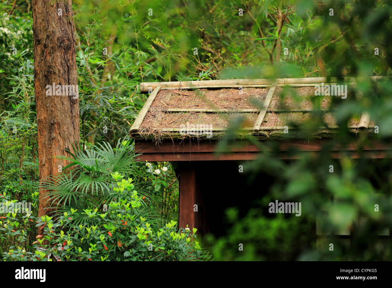 hut in wood Stock Photo - Alamy