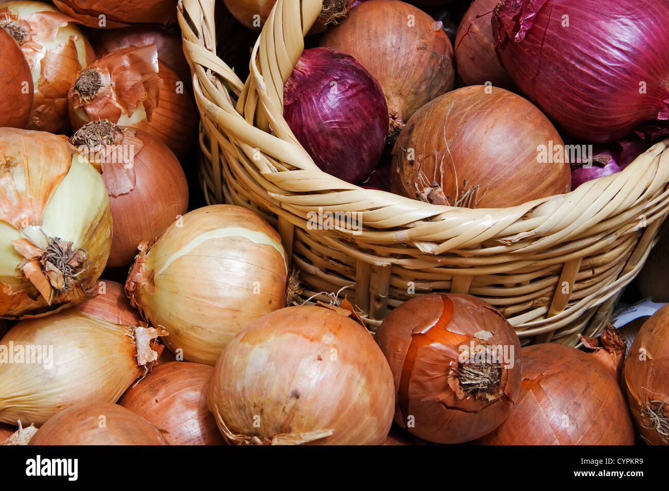 basket of onions growing ecological agriculture cesto de cebollas cultivo agricultura ecologica Stock Photo