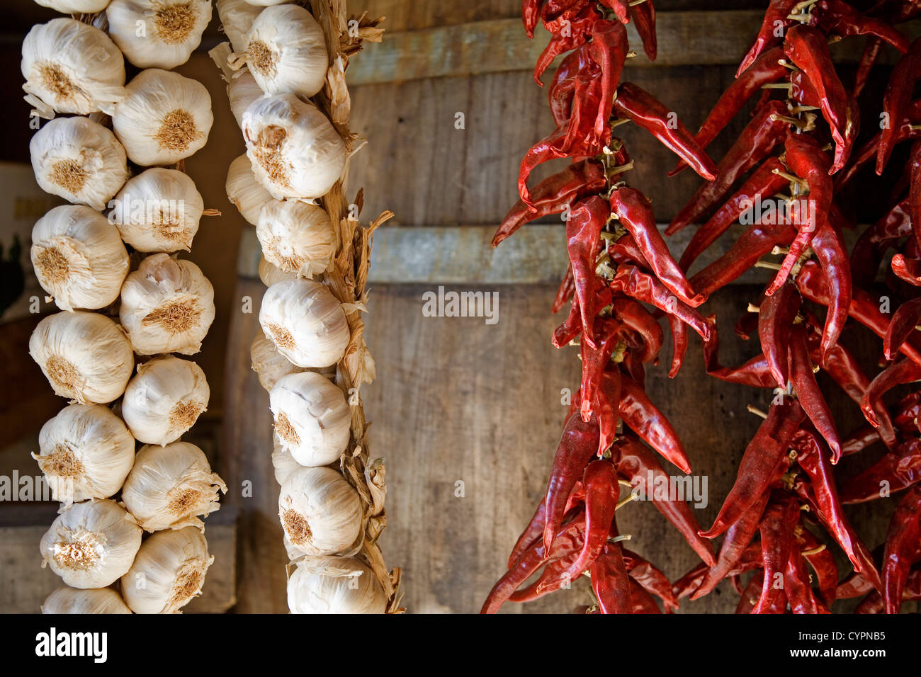 string of garlic and dried peppers ristra de ajos y pimientos secos Stock Photo