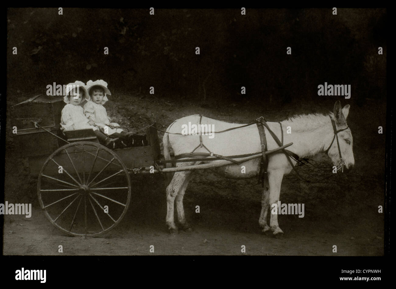 Two Young Girls in Donkey-Drawn Wagon, Circa 1907 Stock Photo