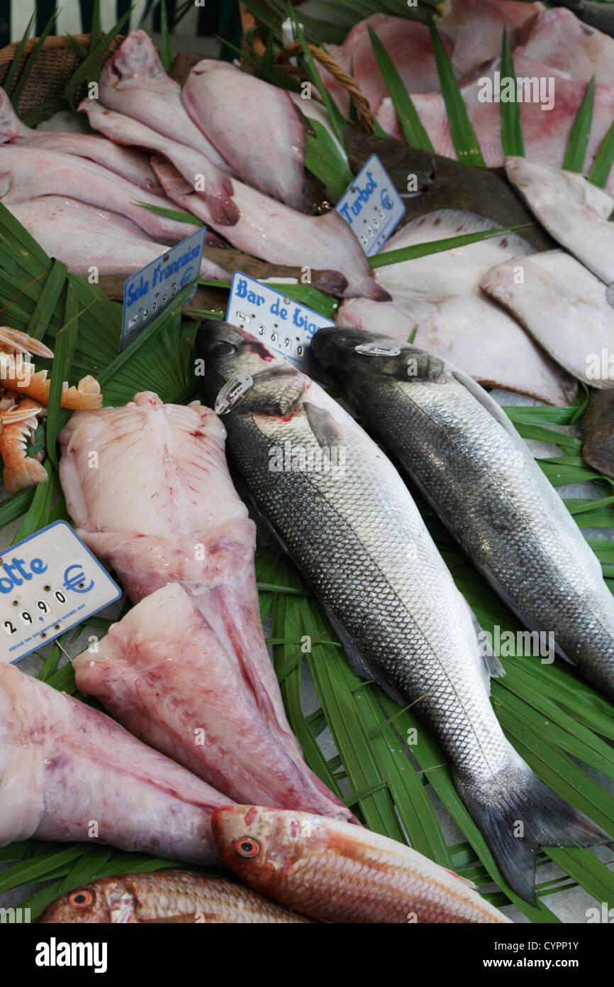 striped mullets,  fillets of angler-fish, sea basses and turbot on fish market Stock Photo