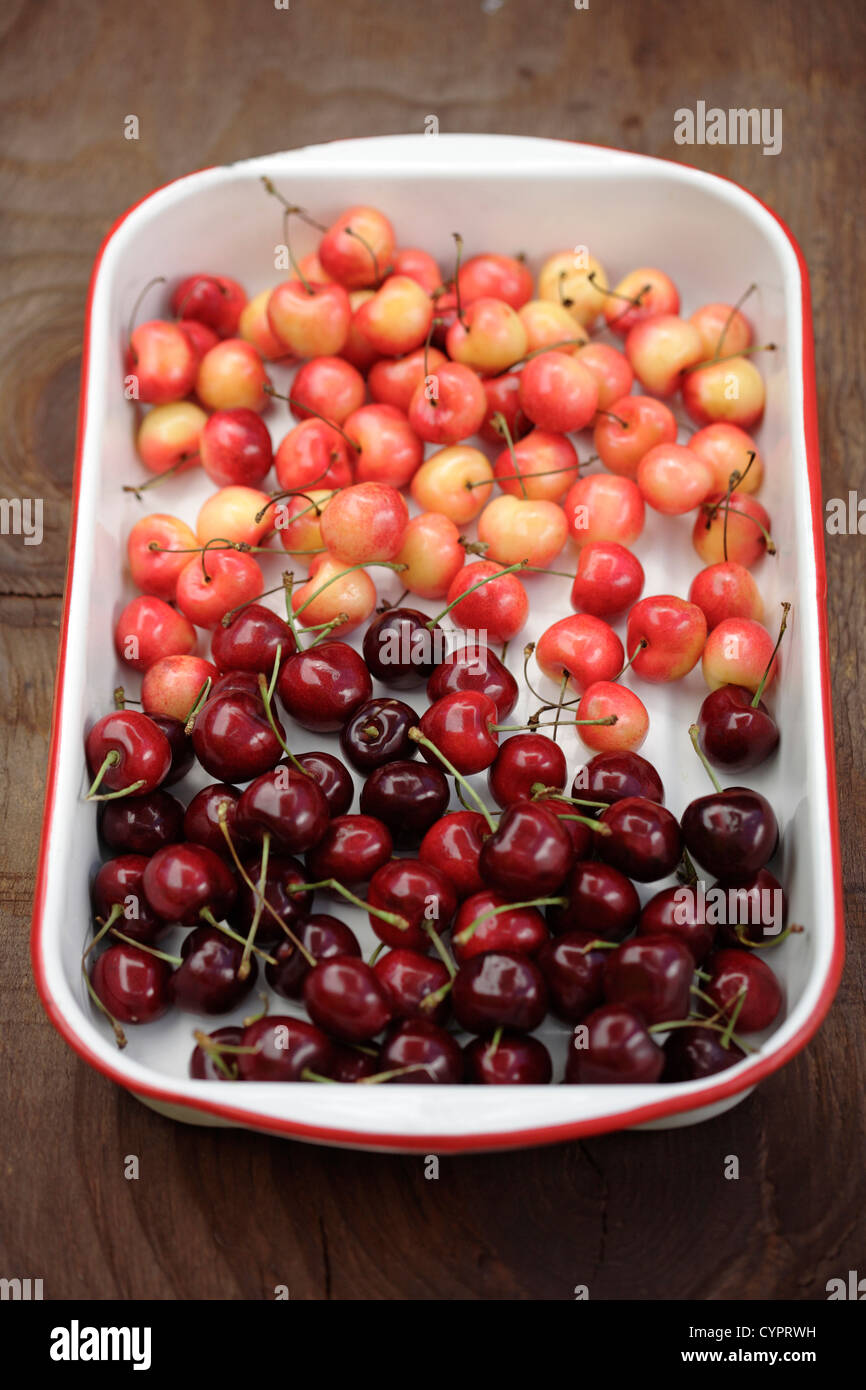 Rainier and bing cherries in pan Stock Photo