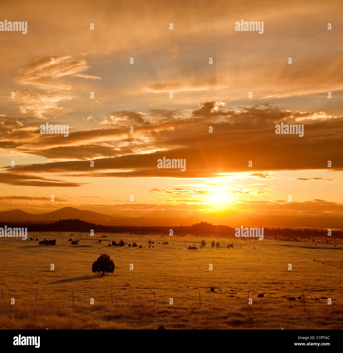 Field sunset hi-res stock photography and images - Alamy