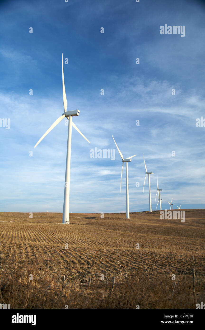 energy wind mills at the country of facinas village in cadiz spain Stock Photo