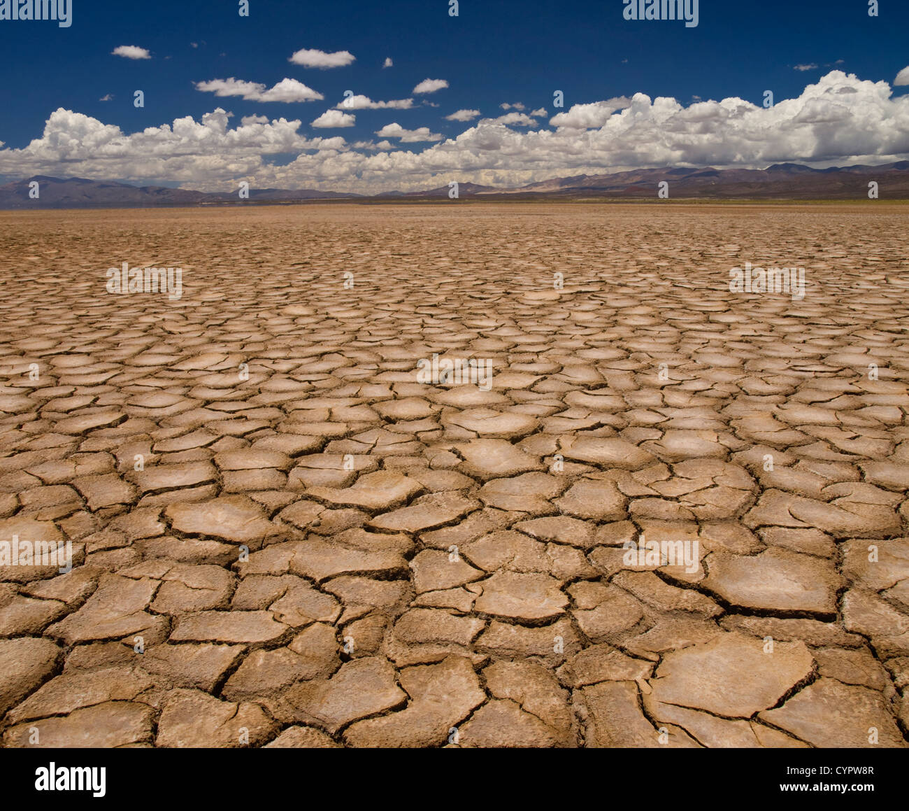 Large field of baked earth after a long drought. Stock Photo