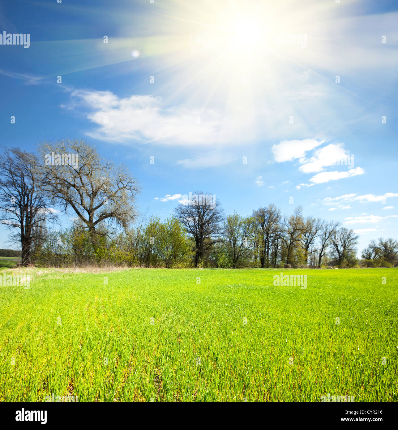 Spring Country Field Scene Field spring hi-res stock photography and images - Alamy