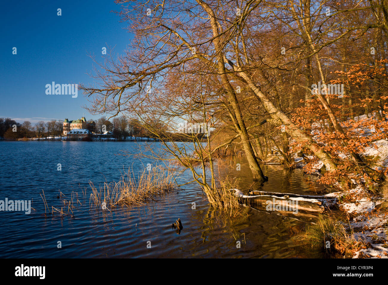 Shore of lake with a castle in the background Stock Photo - Alamy