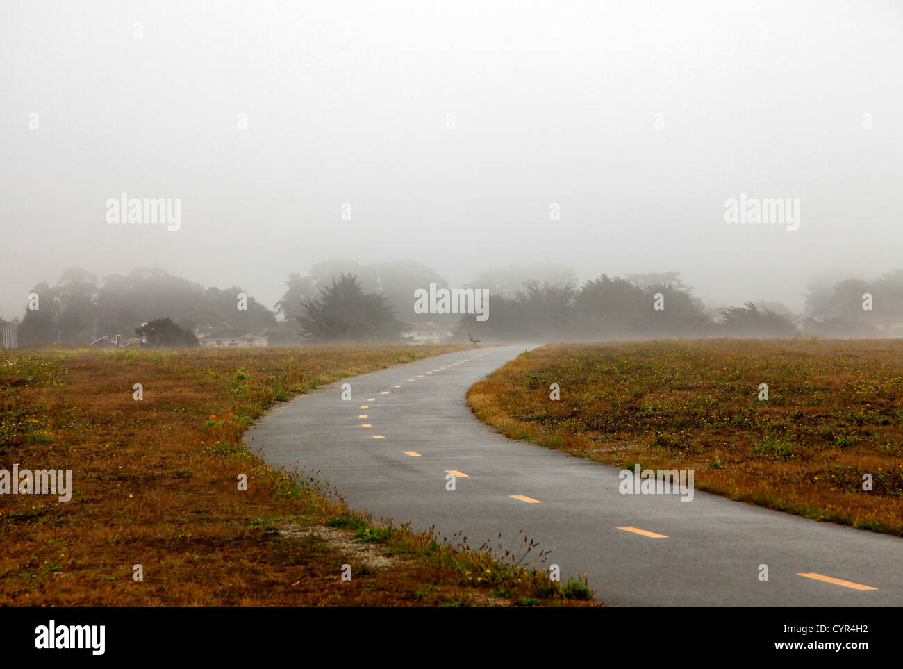 Half moon bay in fog hi-res stock photography and images - Alamy