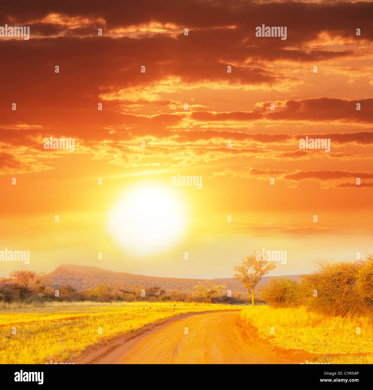 Savannah sunset hi-res stock photography and images - Alamy