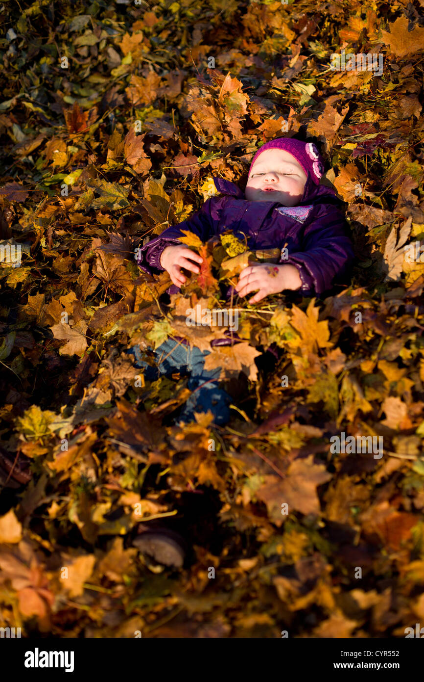 little girl lying in autumn leaves Stock Photo - Alamy