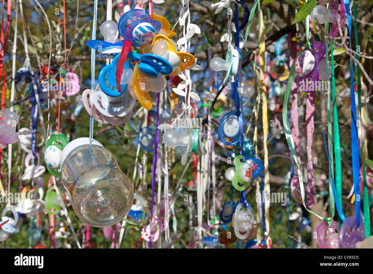 Pacifier hanging on a tree Stock Photo