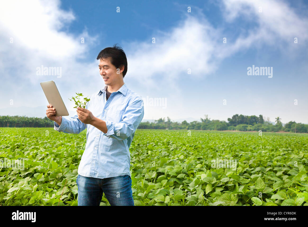 Asian farmer hi-res stock photography and images - Alamy