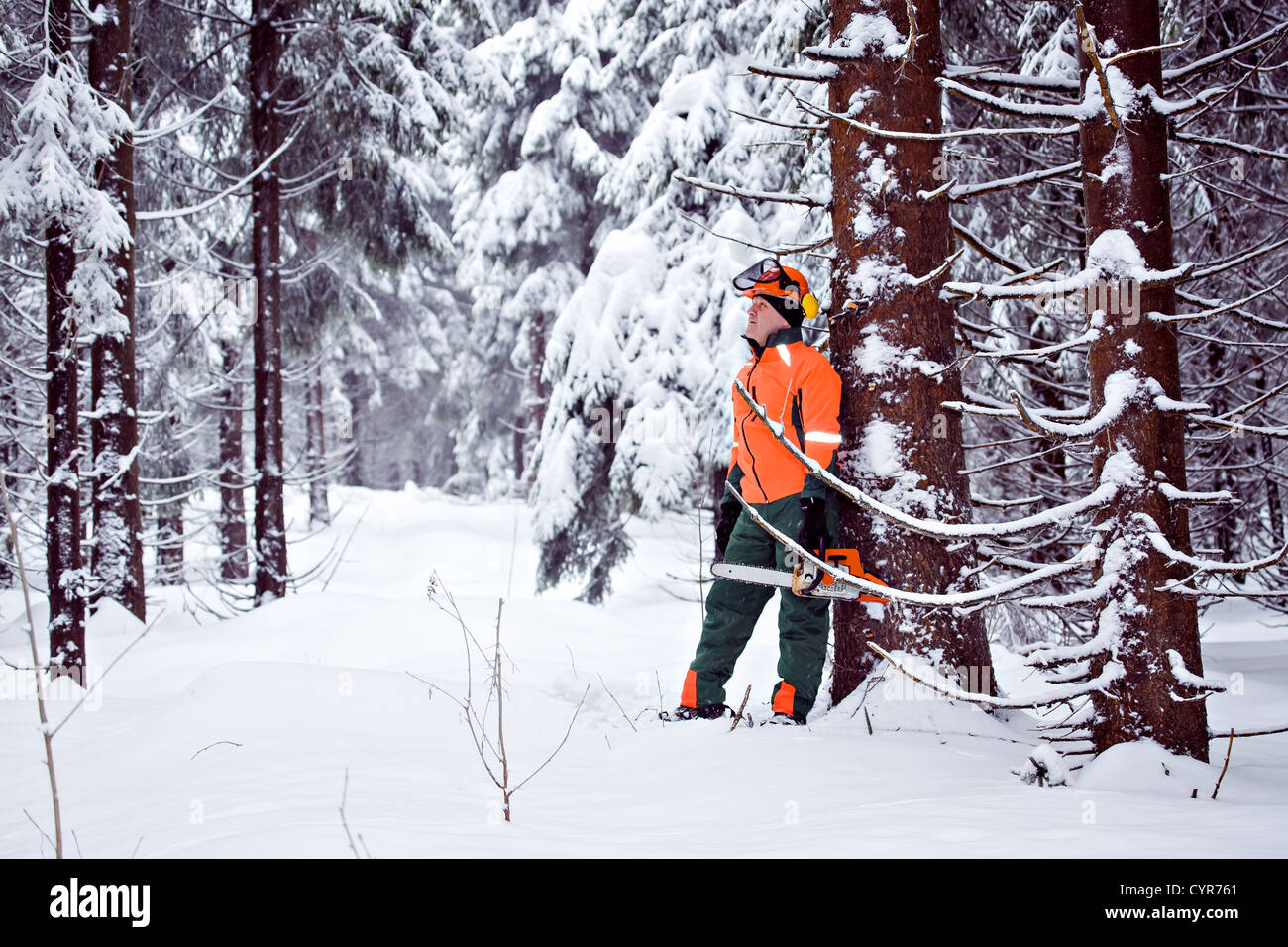 a woodcutter at work in the winter forest Stock Photo - Alamy