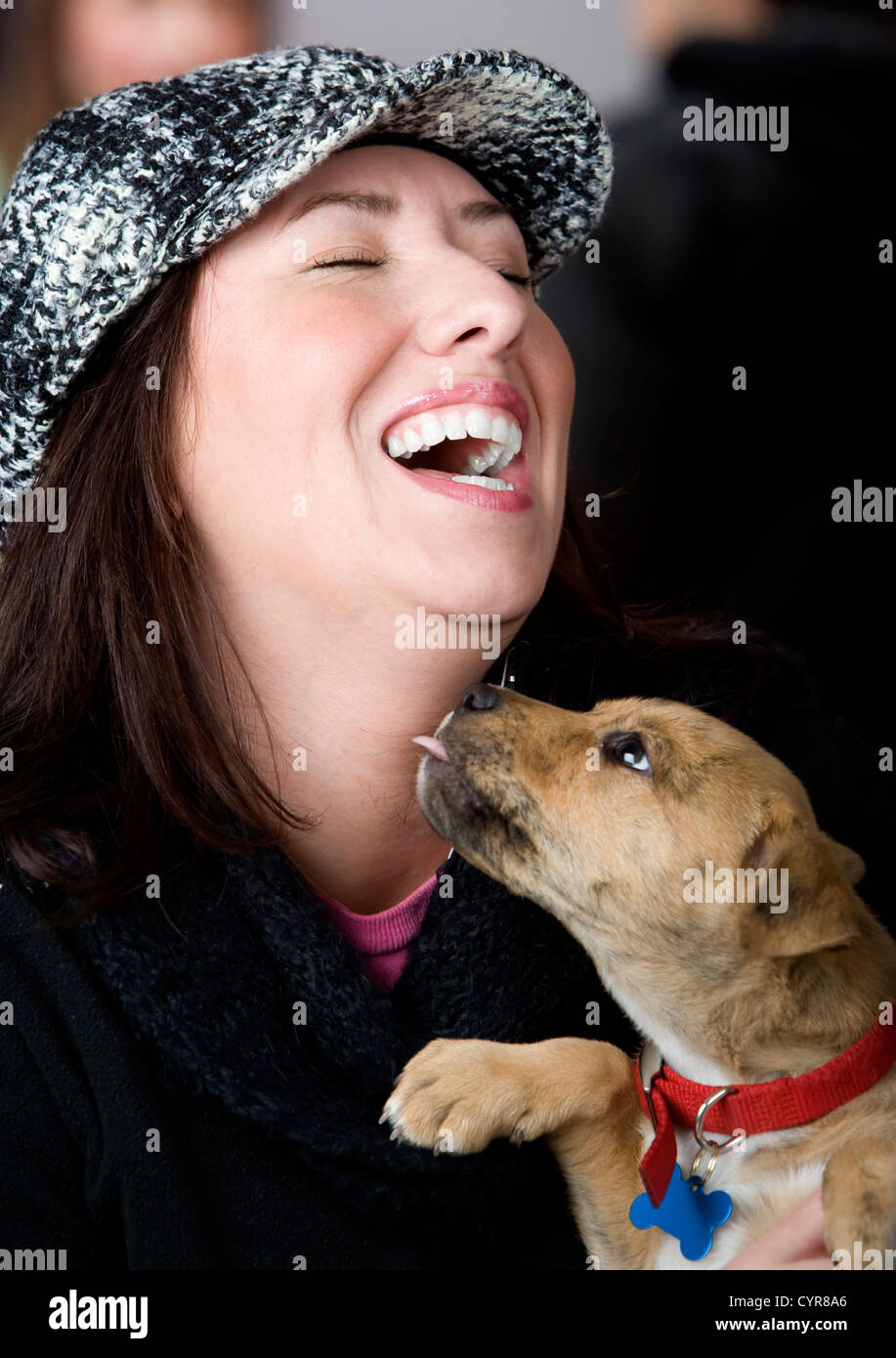 Hispanic woman being licked on the neck by small dog Stock Photo