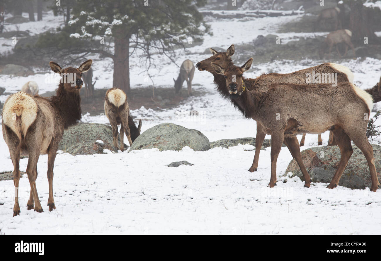 Deeps hi-res stock photography and images - Alamy