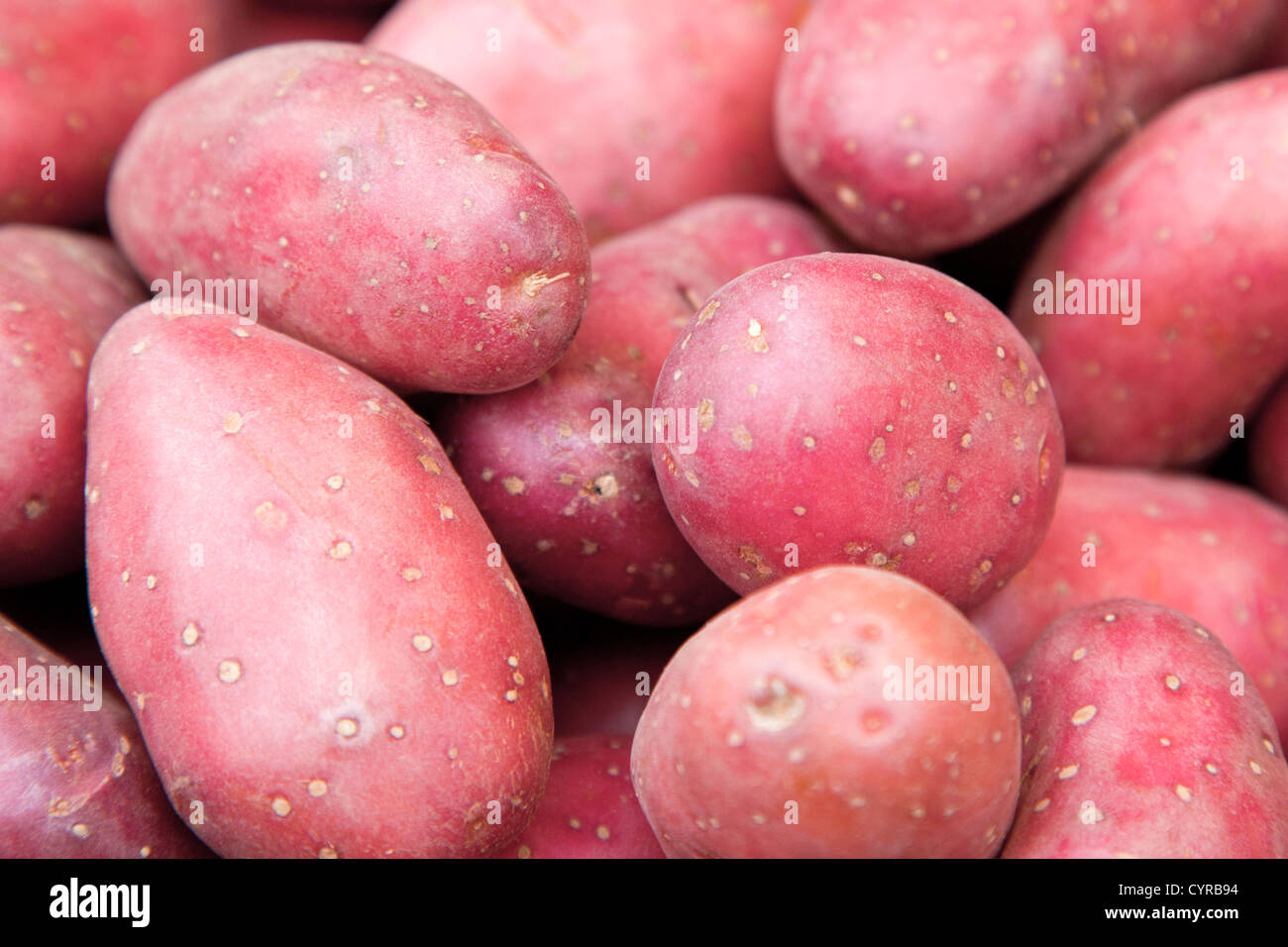 Kartoffel hi-res stock photography and images - Alamy