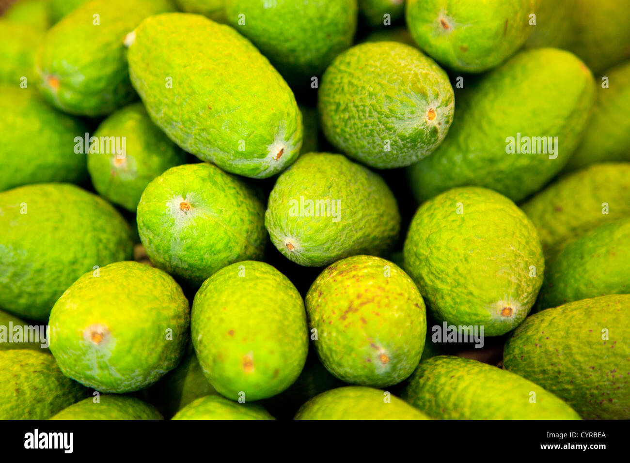 Cucumbers Stock Photo