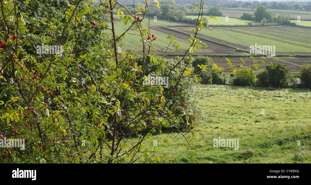 classic english countryside england uk Stock Photo