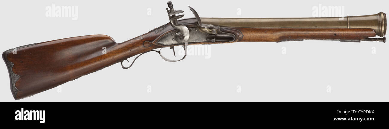 A blunderbuss, England(?), end of the 18th century. Brass barrel with slightly belled, cannon muzzle. Flintlock with brass pan. Sparsely carved full stock with engraved iron furniture and silver wire inlays, iron ramrod. Length 78 cm, historic, historical, 18th century, civil long guns, gun, weapons, arms, weapon, arm, firearm, fire arm, gun, fire arms, firearms, guns, object, objects, stills, clipping, clippings, cut out, cut-out, cut-outs, Additional-Rights-Clearences-Not Available Stock Photo
