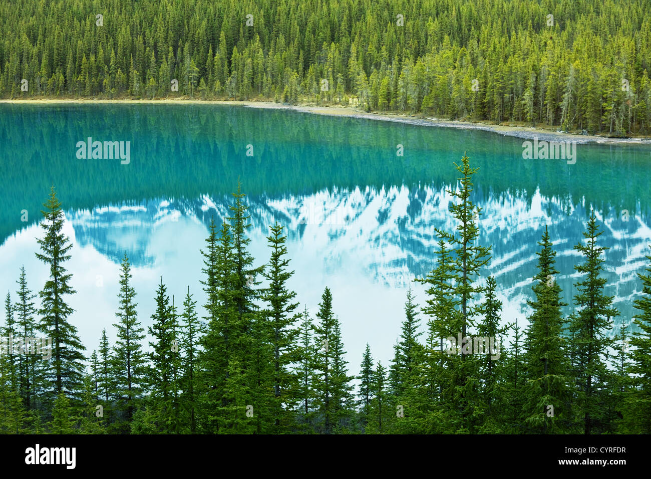 Moraine lake in Canada Stock Photo Alamy