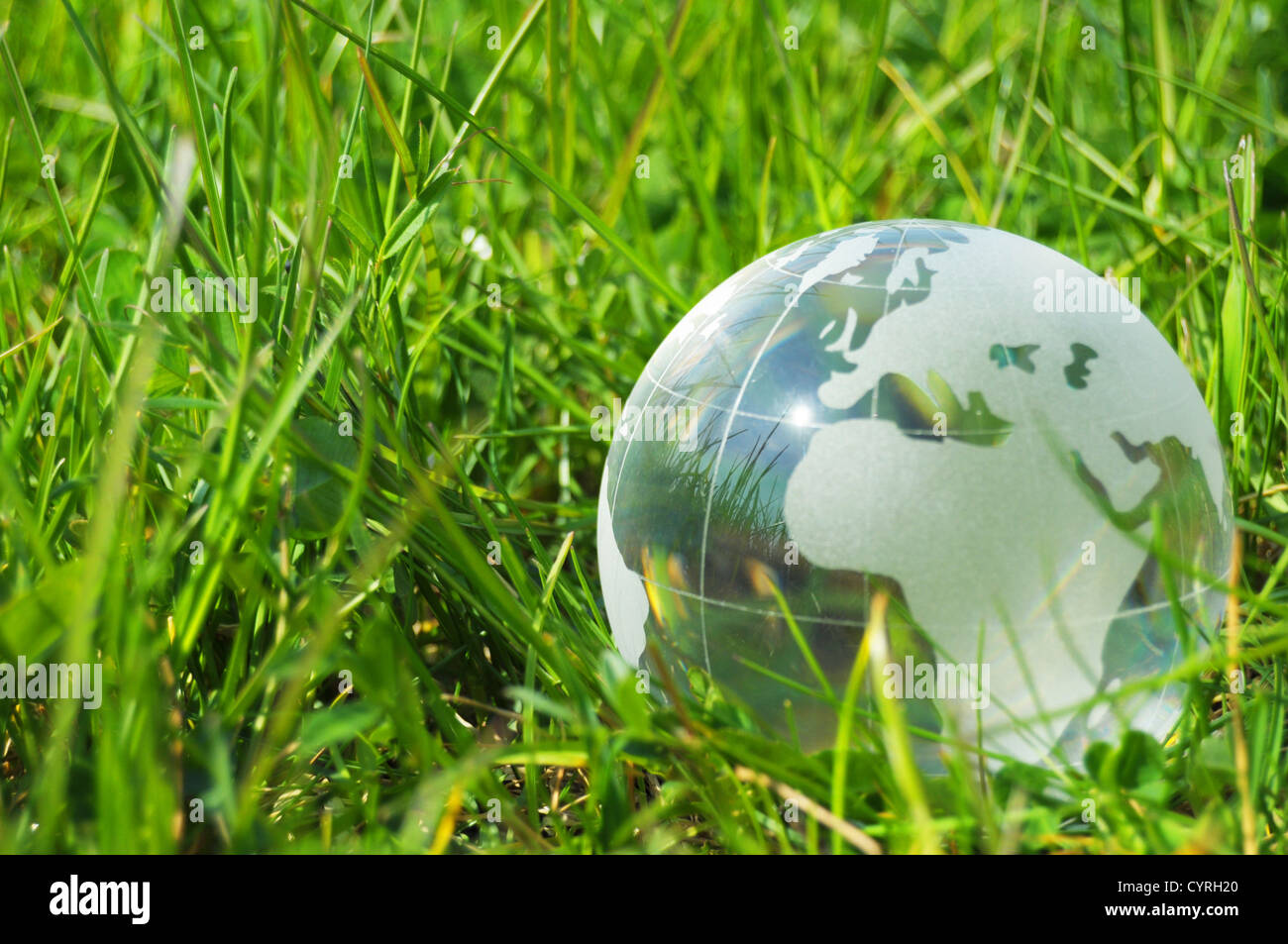 glass globe or earth in green grass showing eco concept with copyspace ...