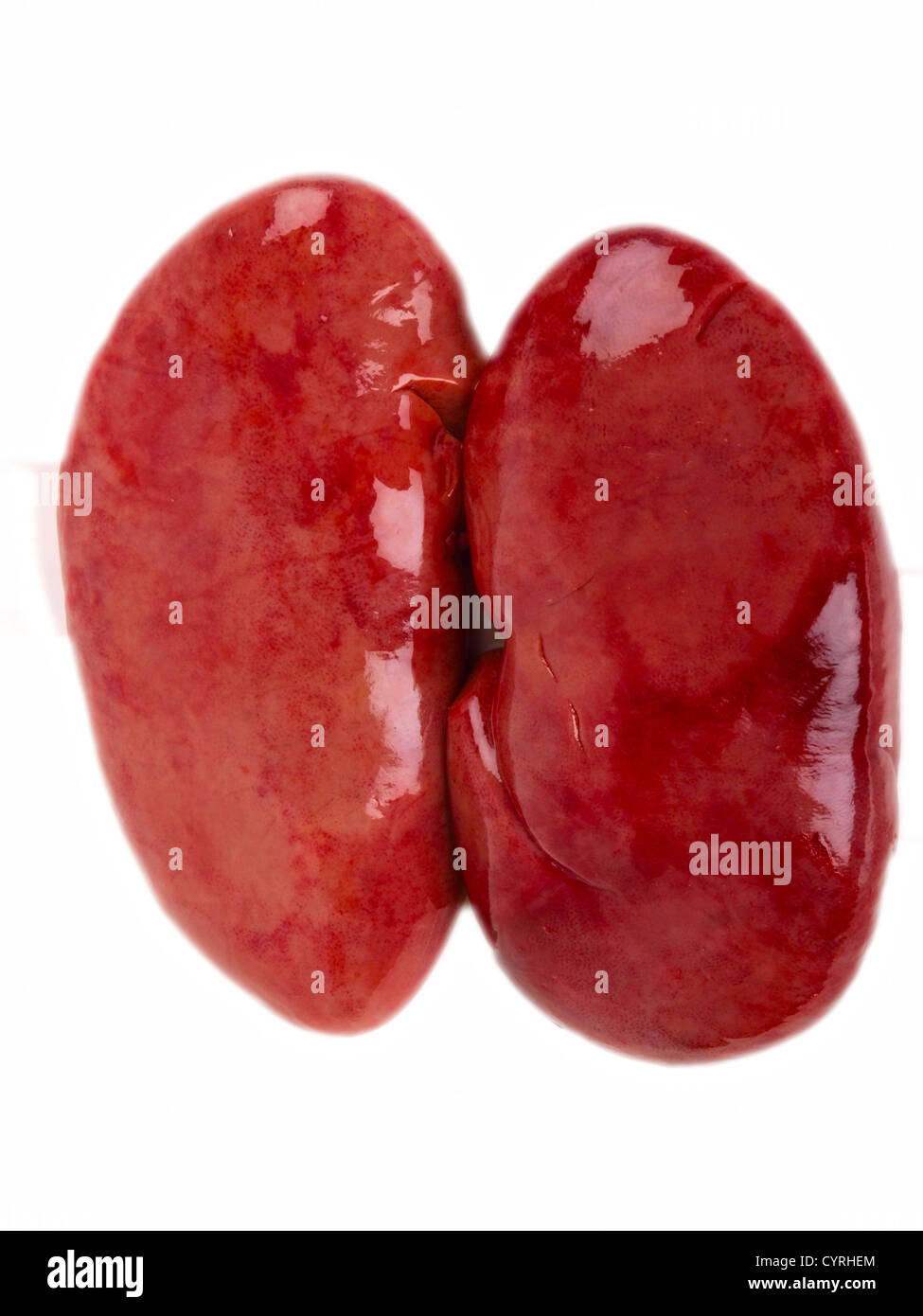 Pig kidney. Close up on white background Stock Photo Alamy