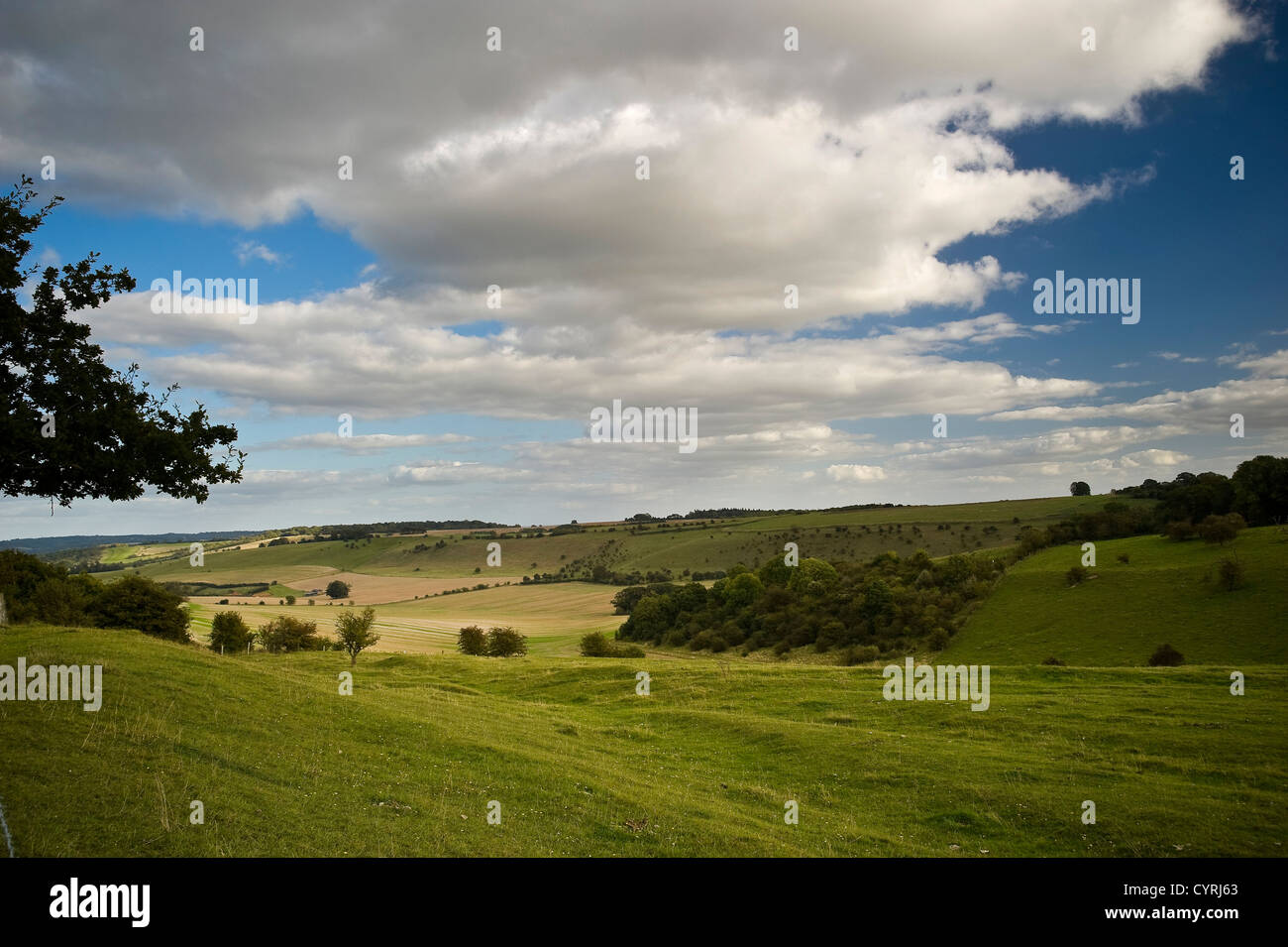 Late afternoon sun on the hills alongside the Ridgeway National Trail near Streatley, Oxfordshire, UK Stock Photo