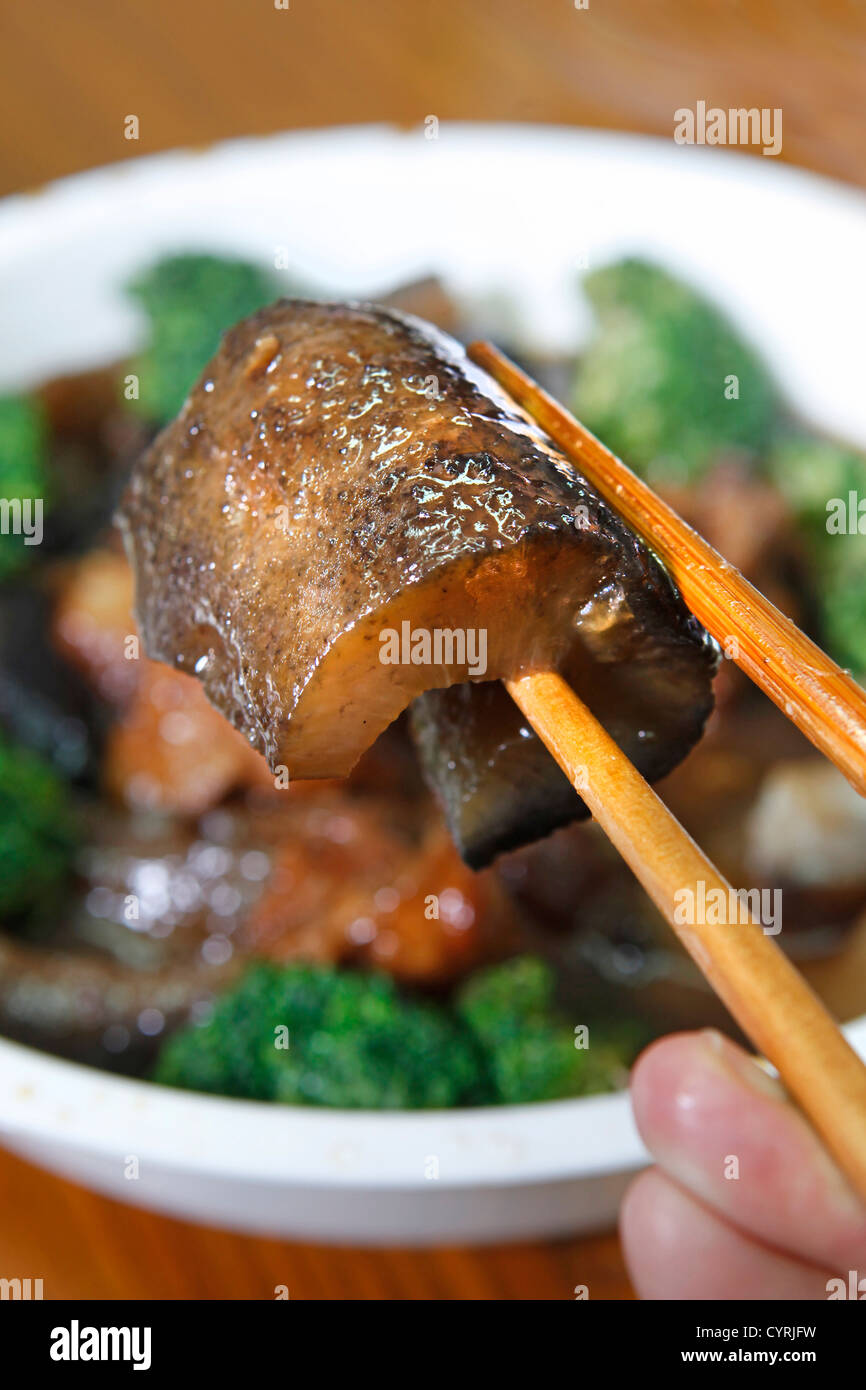 Seafood, sea cucumber Stock Photo Alamy