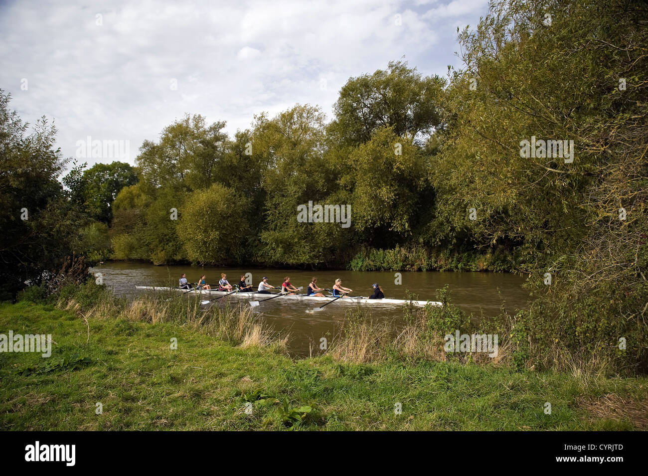 Female members of a rowing club rowing on the River Thames near South Stoke, Oxfordshire, UK Stock Photo