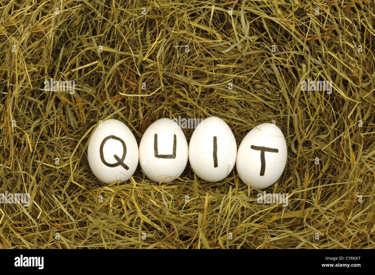 quit written on eggs in hey or straw Stock Photo