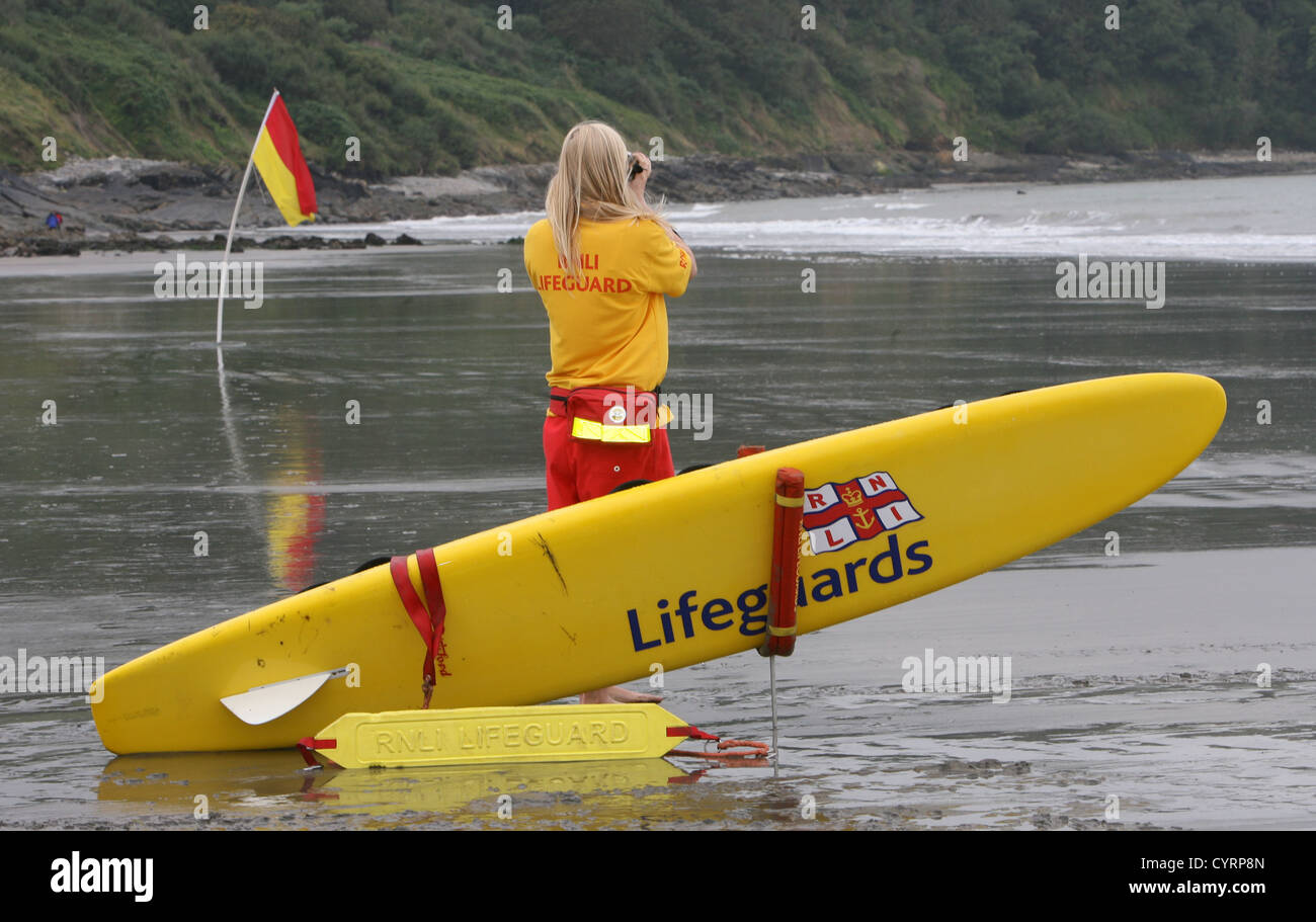 Puffball Stock Photo - Alamy