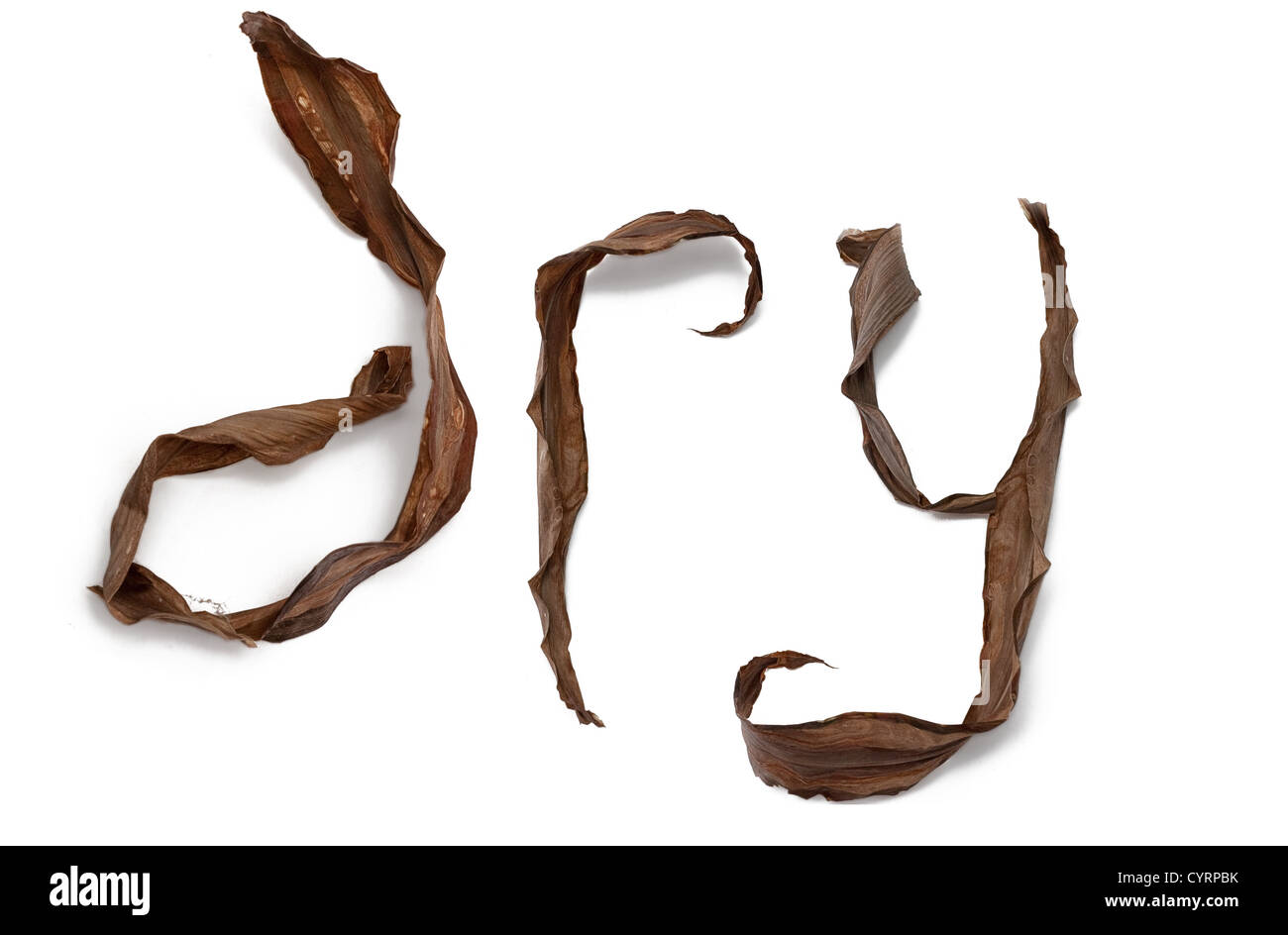 Lettershaped dry leaves assembled in word isolated on white background