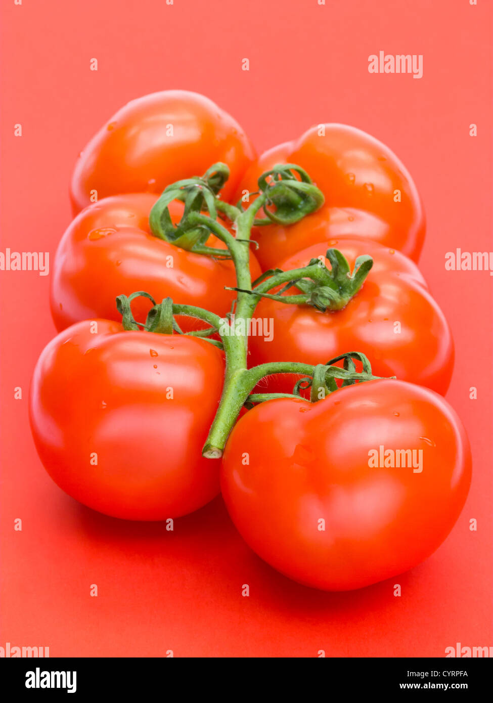 Fresh Tomatoes on Red Stock Photo