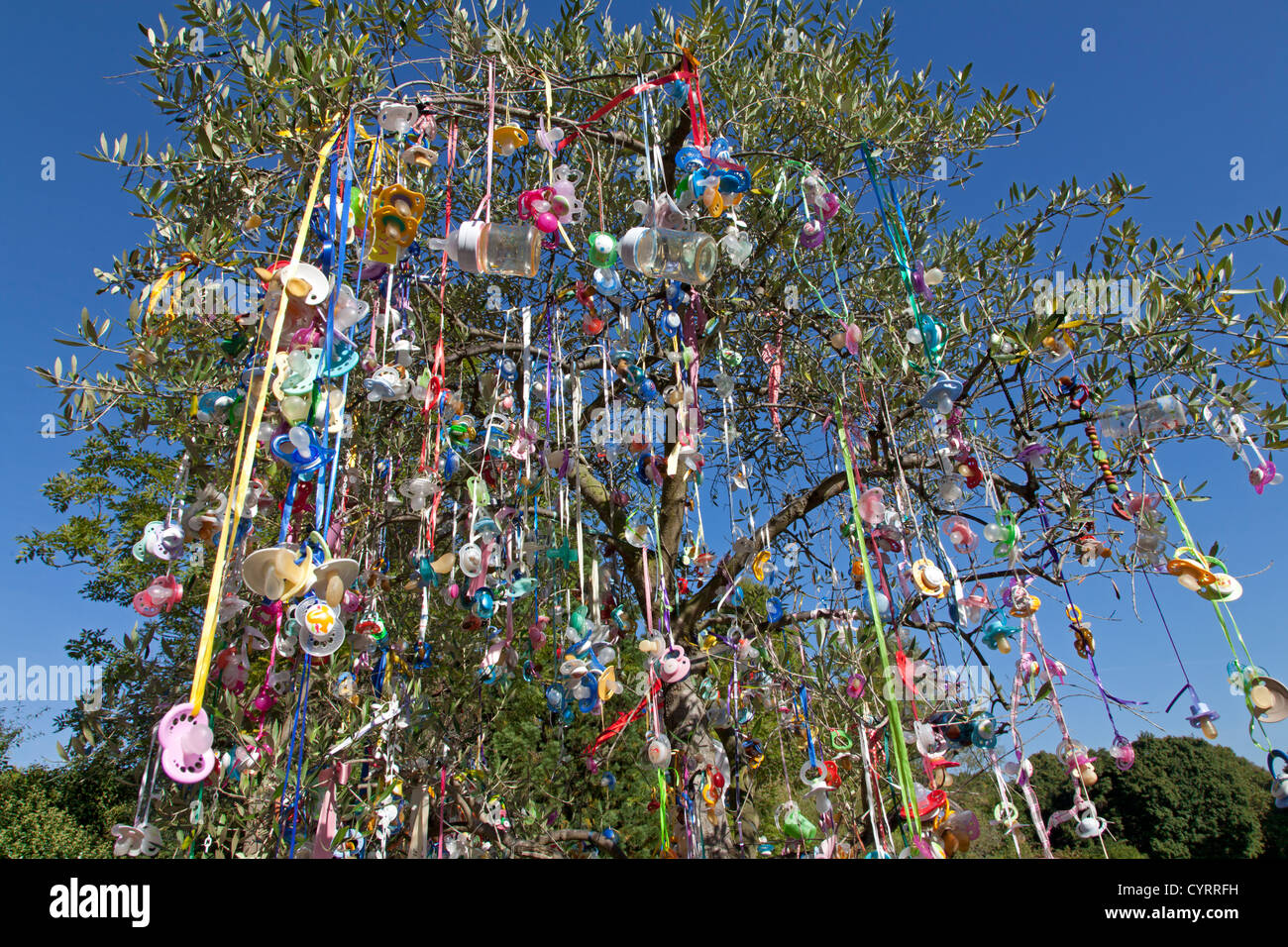 Pacifier hanging on a tree Stock Photo