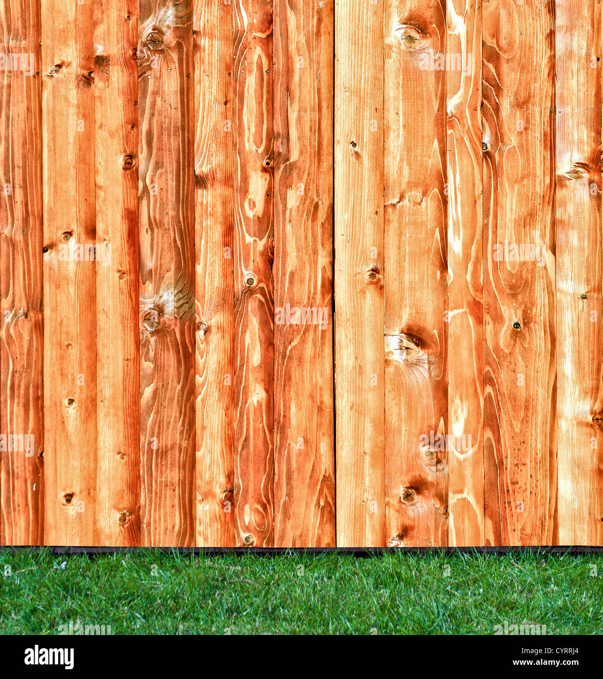 Fresh spring green grass over wood fence background Stock Photo - Alamy