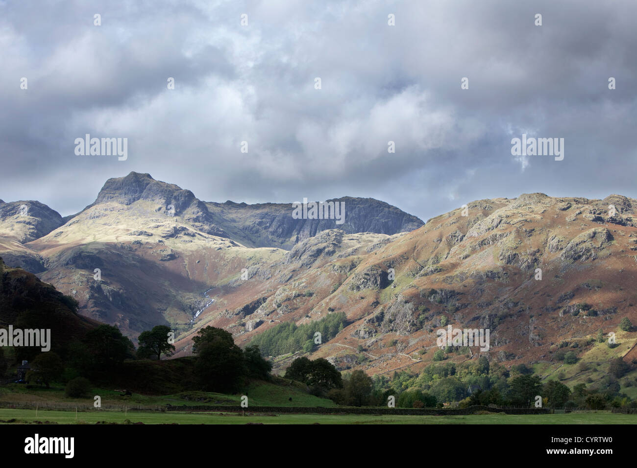 Langdale Pikes from Great Langdale in the Lake District National Park, Cumbria, England, UK Stock Photo