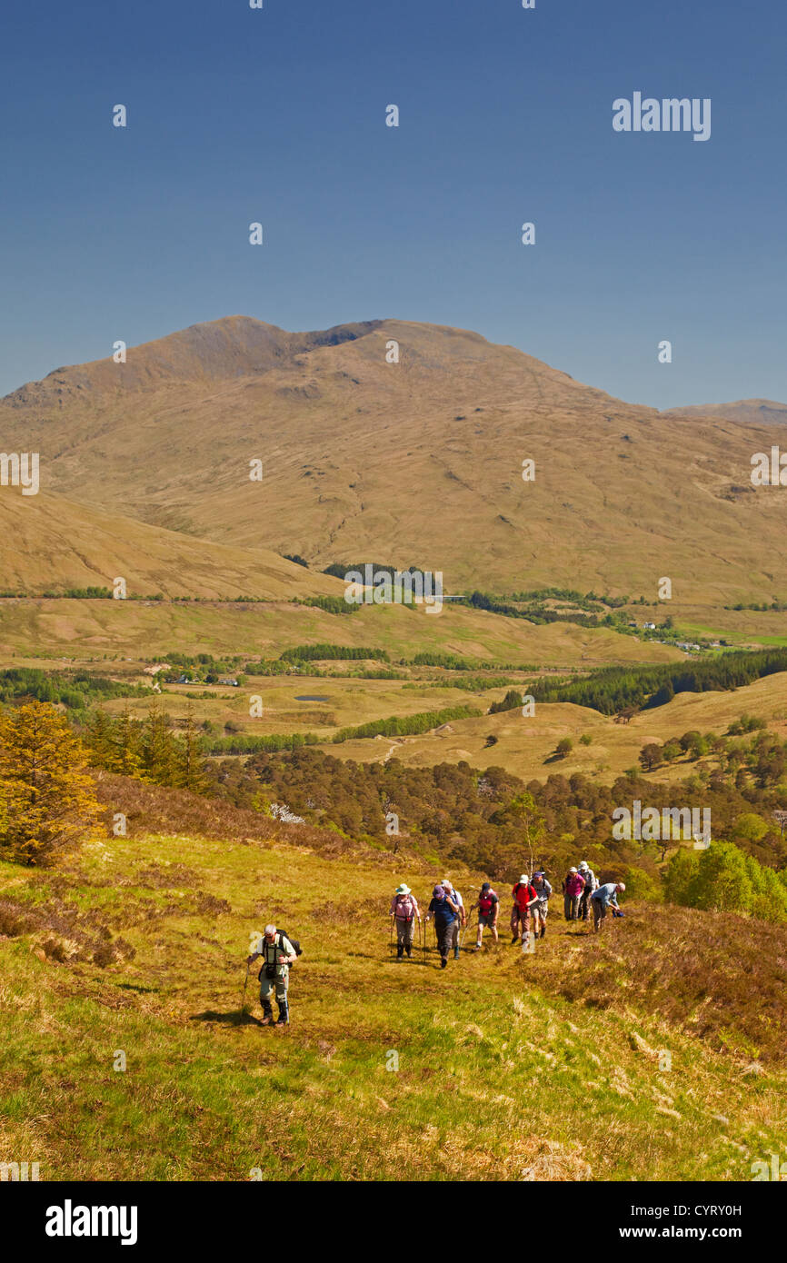 Walkers ascending Beinn Dubhchraig near Tyndrum. Beinn Challum is in the background. Stock Photo