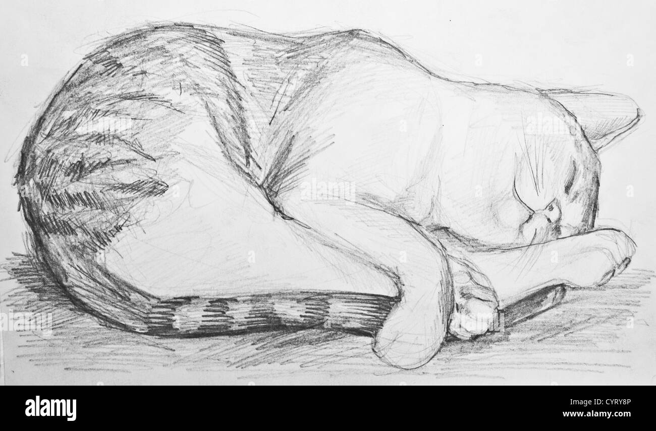 Cat Etching Vintage High Resolution Stock Photography and Images - Alamy